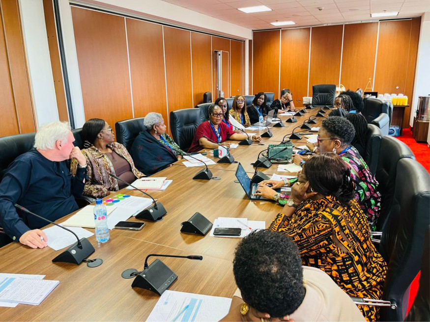 Meeting with German Delegation and Members of Parliament to discuss the security and development challenge in Nigeria/Africa